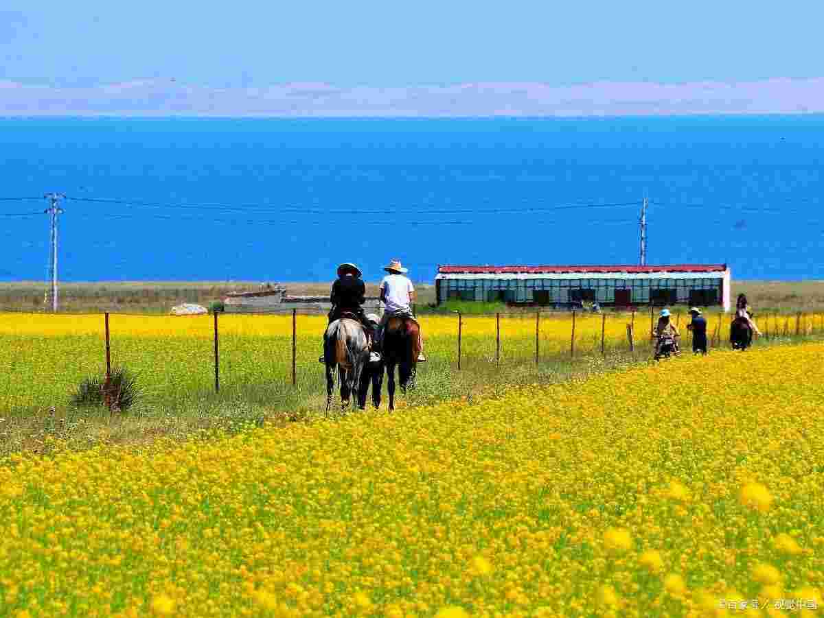 青海湖 茶卡盐湖一日游